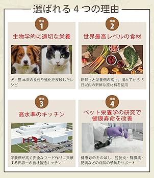 Amazon.co.jp: アカナ (ACANA) ドッグフード シニアドッグ [国内